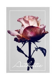 Nome do produtoFLOR - AUTHENTIC