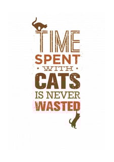Nome do produto Time spent with cats is never wasted