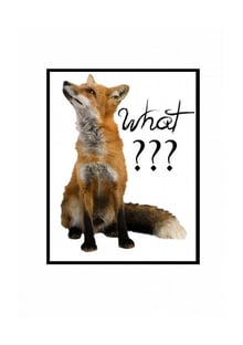 Nome do produtoWhat Does the Fox Say?