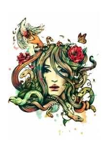 Nome do produtomedusa