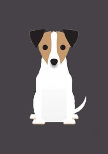 Nome do produtoCACHORRO