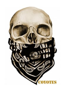 Nome do produtocoyotes 982