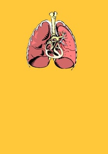 Nome do produtoLungs and Heart