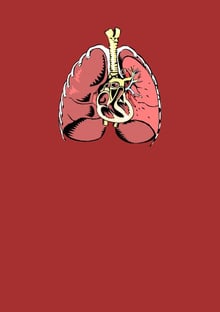 Nome do produtoHeart and Lung