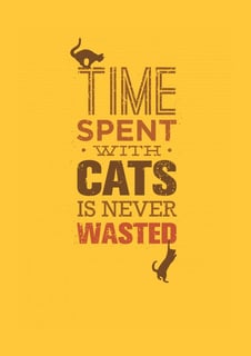 Nome do produto Time spent with cats is never wasted