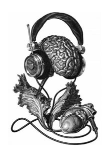 Nome do produtoCerebro fone