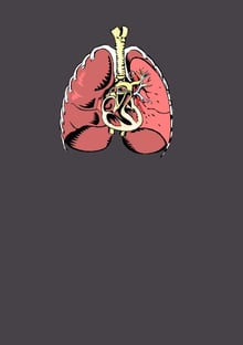 Nome do produtoLungs and Heart