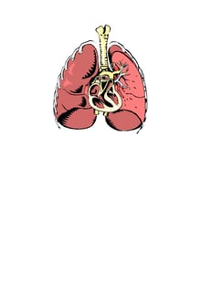 Nome do produtoHeart and Lung