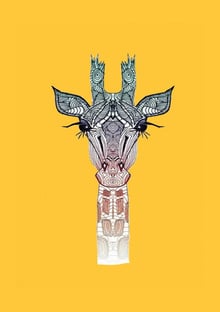 Nome do produtoGiraffas