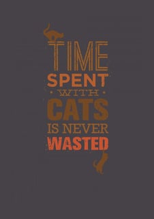 Nome do produto Time spent with cats is never wasted