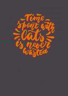 Nome do produto Time spent with cats is never wasted ball