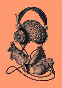 Nome do produtoCerebro fone