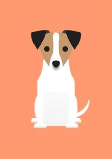 Nome do produtoCACHORRO