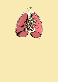 Nome do produtoHeart and Lung