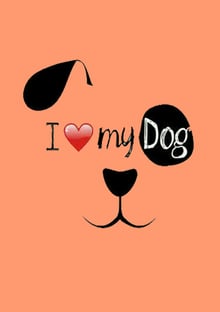 Nome do produtoEu Amo Meu Dog
