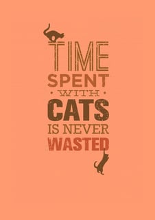 Nome do produto Time spent with cats is never wasted