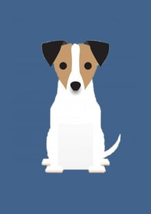 Nome do produtoCACHORRO