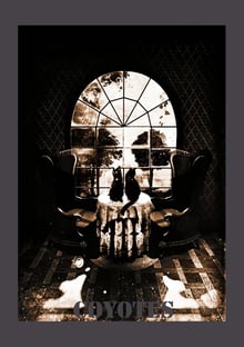 Nome do produtocoyotes caveira 45