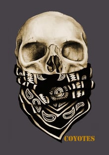 Nome do produtocoyotes 982