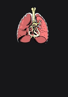 Nome do produtoLungs and Heart