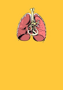 Nome do produtoHeart and Lung