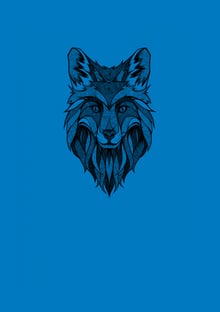Nome do produtoWolfPard