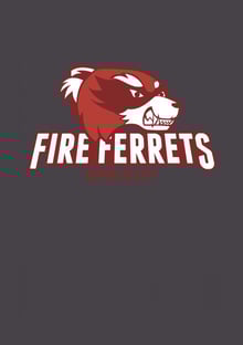 Nome do produtoFire ferrets