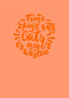 Nome do produto Time spent with cats is never wasted ball