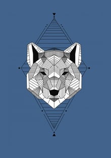 Nome do produtoLobo geometrico