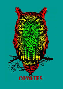 Nome do produtocoyotes 24