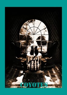 Nome do produtocoyotes caveira 45