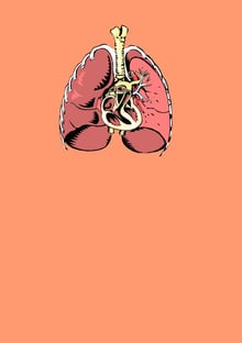 Nome do produtoLungs and Heart