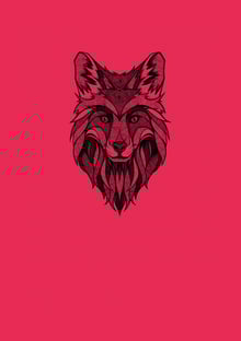 Nome do produtoWolfPard