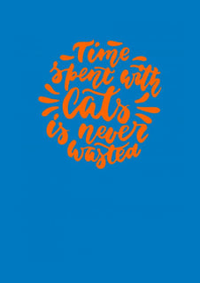 Nome do produto Time spent with cats is never wasted ball