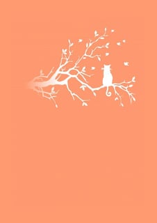 Nome do produto Gato na Árvore