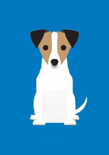 Nome do produtoCACHORRO