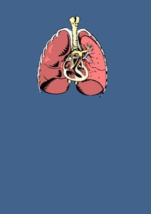 Nome do produtoLungs and Heart