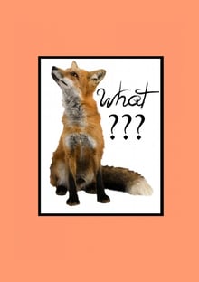 Nome do produtoWhat Does the Fox Say?
