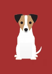 Nome do produtoCACHORRO