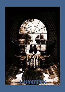 Nome do produtocoyotes caveira 45