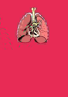 Nome do produtoLungs and Heart