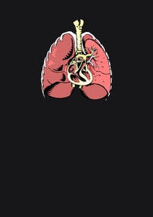Nome do produtoHeart and Lung