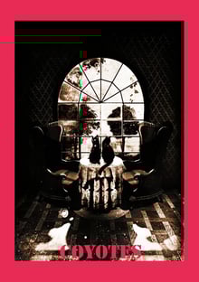 Nome do produtocoyotes caveira 45