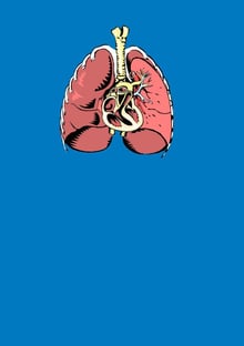 Nome do produtoLungs and Heart