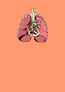 Nome do produtoHeart and Lung