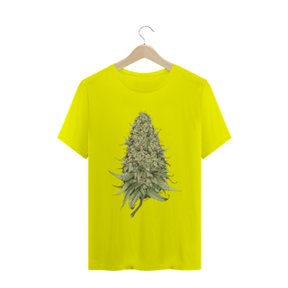 Nome do produto Gold Skank - Sativa