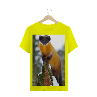 Nome do produto MARTA DO PESCOÇO AMARELO (Martes flavigula)