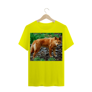 Nome do produto DINGO