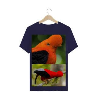 Nome do produto GALO DA SERRA (Rupicola) - AVE