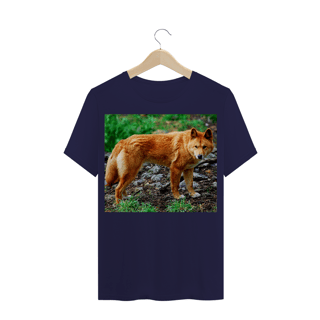 Nome do produto DINGO